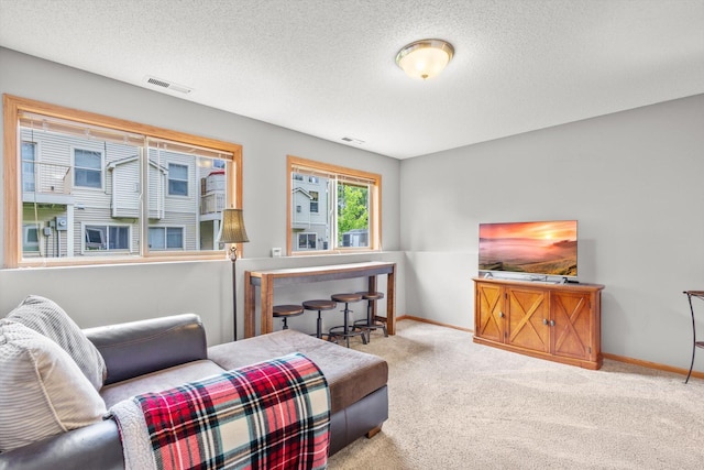 3123 Legacy Ln, Woodbury, MN 55129 - carpeted living room featuring baseboards and a textured ceiling