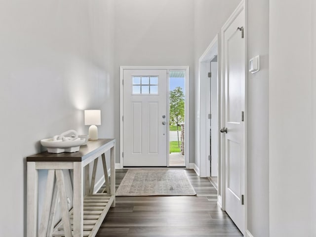 7154 Alphabet St, Chanhassen, MN 55317 - entryway with wood finished floors and a towering ceiling