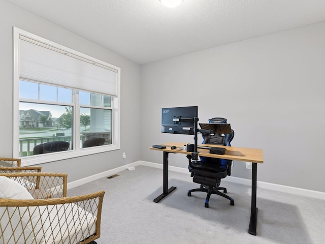 7154 Alphabet St, Chanhassen, MN 55317 - carpeted office space featuring baseboards and a textured ceiling