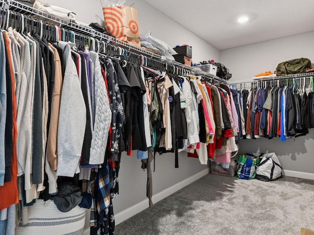 7154 Alphabet St, Chanhassen, MN 55317 - spacious closet with carpet