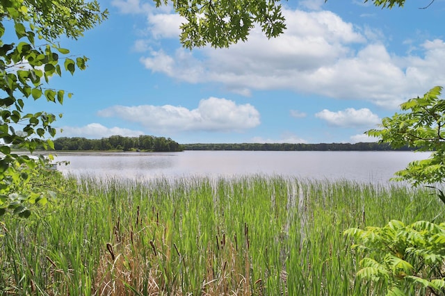 6991 Shadow Ln, Lake Edward Twp, MN 56401 - photo 1