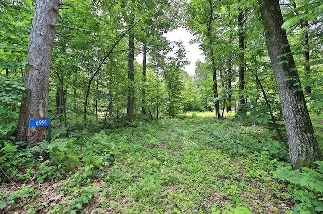 6991 Shadow Ln, Lake Edward Twp, MN 56401 - photo 2