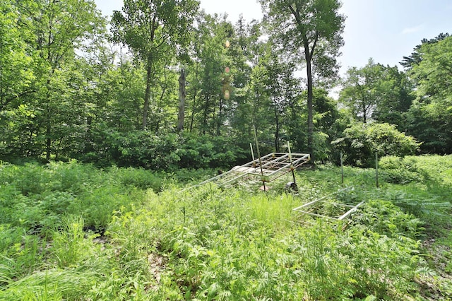 6991 Shadow Ln, Lake Edward Twp, MN 56401 - photo 4