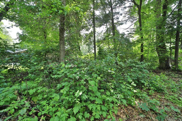 6991 Shadow Ln, Lake Edward Twp, MN 56401 - photo 5