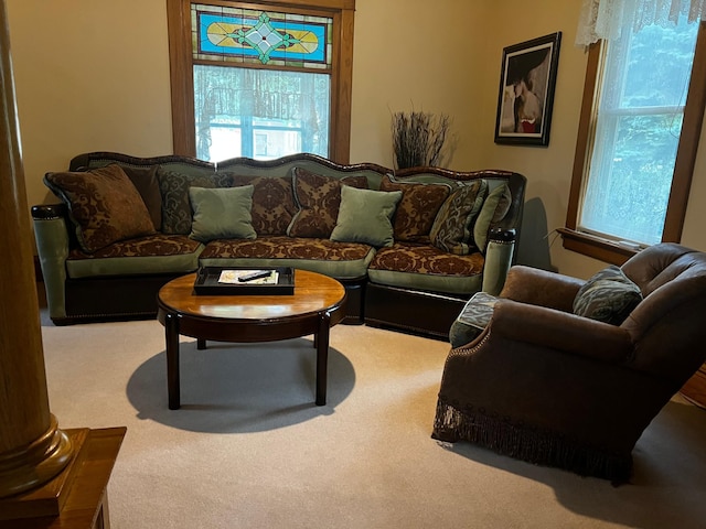 821 3rd Ave, Madison, MN 56256 - view of carpeted living area