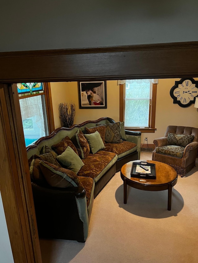 821 3rd Ave, Madison, MN 56256 - living room featuring carpet flooring