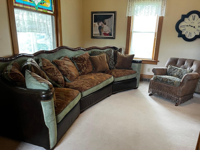 821 3rd Ave, Madison, MN 56256 - living area featuring carpet
