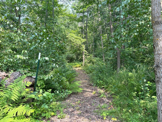 26627 Birch Trl, Garrison, MN 56450 - photo 15