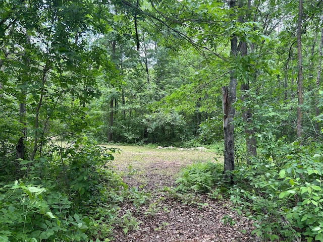 26627 Birch Trl, Garrison, MN 56450 - photo 16
