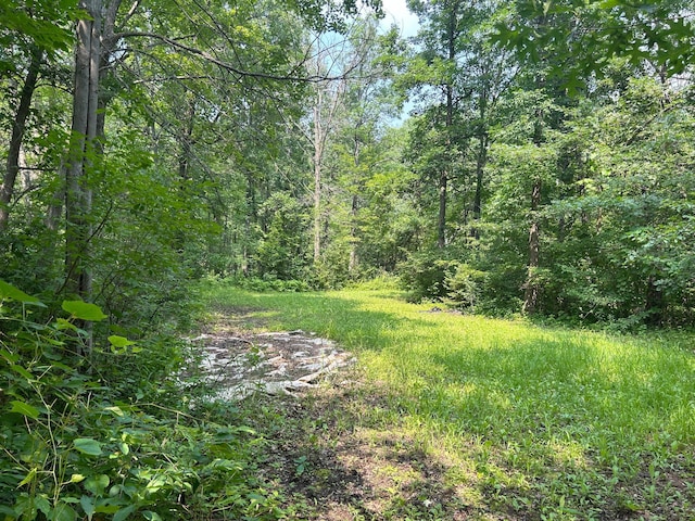 26627 Birch Trl, Garrison, MN 56450 - photo 17