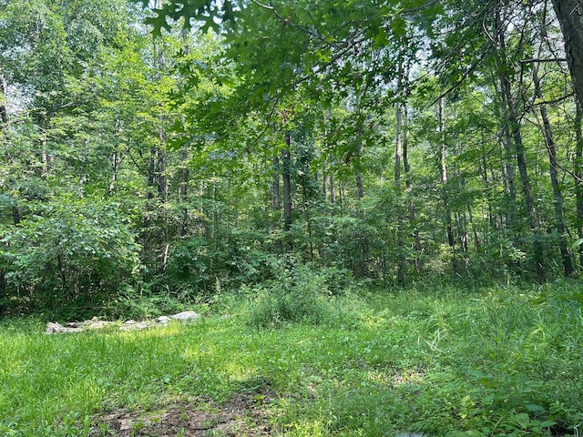 26627 Birch Trl, Garrison, MN 56450 - photo 18