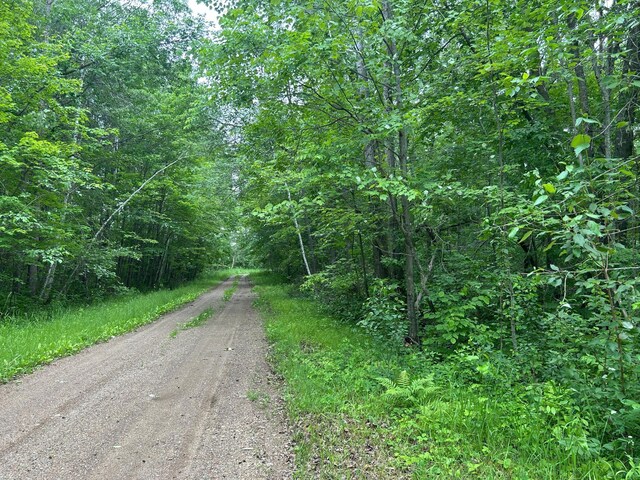 26627 Birch Trl, Garrison, MN 56450 - photo 21
