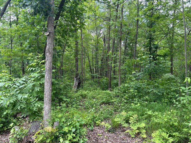 26627 Birch Trl, Garrison, MN 56450 - photo 22