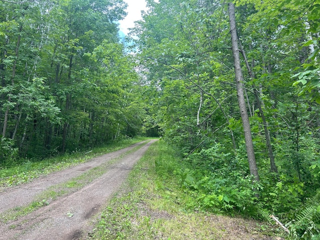 26627 Birch Trl, Garrison, MN 56450 - photo 23