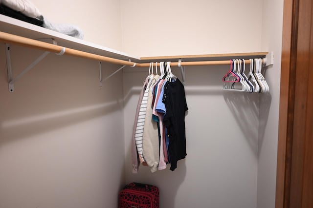 11764 35th Ave SE, Becker, MN 55308 - view of spacious closet