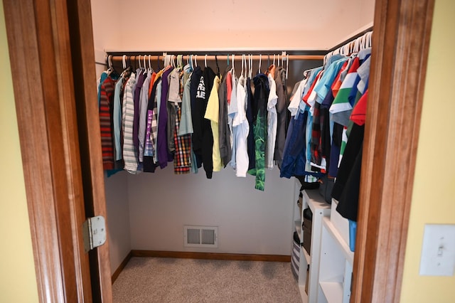 11764 35th Ave SE, Becker, MN 55308 - walk in closet featuring carpet