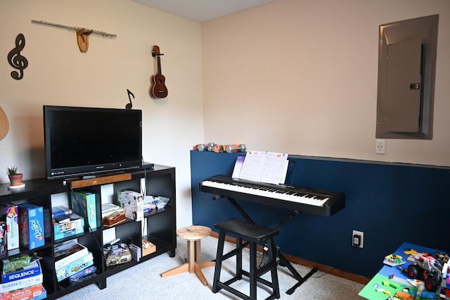 11764 35th Ave SE, Becker, MN 55308 - playroom with electric panel and carpet floors