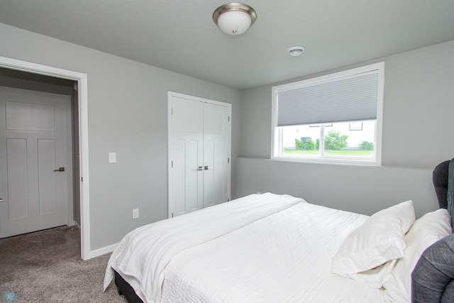 5252 8th Ct W, West Fargo, ND 58078 - bedroom with carpet floors and a closet