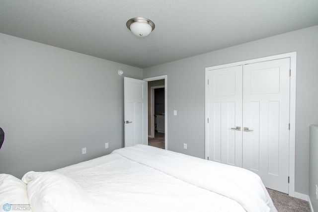 5252 8th Ct W, West Fargo, ND 58078 - bedroom with carpet flooring and a closet