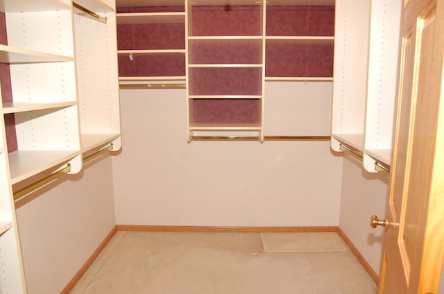 224 Goldfinch Ln, Clearwater, MN 55320 - view of walk in closet