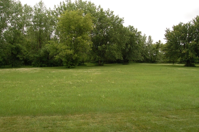 224 Goldfinch Ln, Clearwater, MN 55320 - view of green lawn