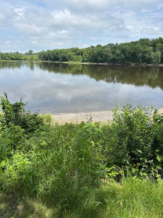 224 Goldfinch Ln, Clearwater, MN 55320 - water view with a forest