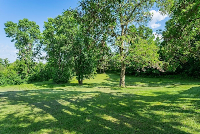 11826 State Road 48, Frederic, WI 54837 - view of green lawn featuring view of scattered trees