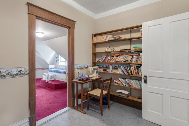 11826 State Road 48, Frederic, WI 54837 - home office featuring carpet and a textured ceiling