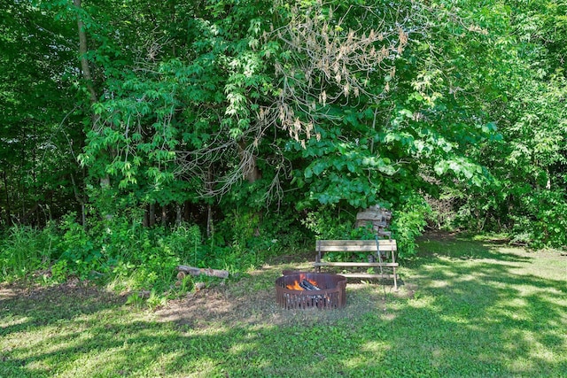 11826 State Road 48, Frederic, WI 54837 - view of green lawn with an outdoor fire pit