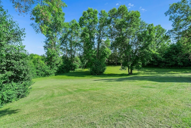 11826 State Road 48, Frederic, WI 54837 - view of green lawn