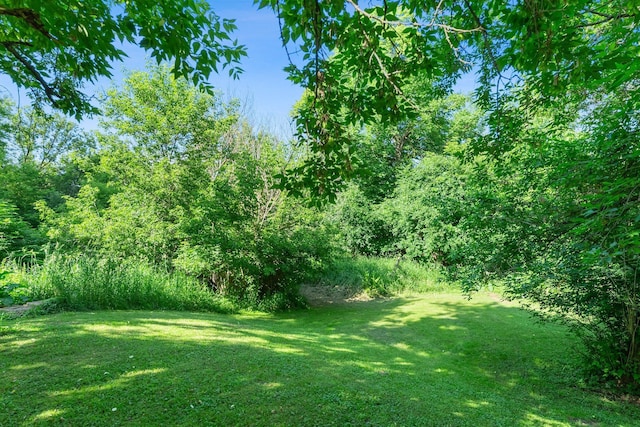 11826 State Road 48, Frederic, WI 54837 - view of green lawn featuring a view of trees