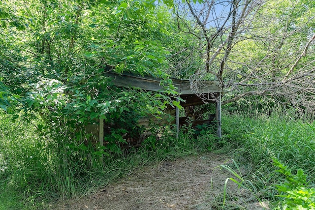 11826 State Road 48, Frederic, WI 54837 - view of nature