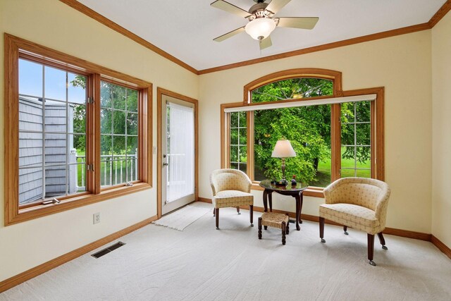 8820 Pointe Vista Dr, Victoria, MN 55386 - photo 16