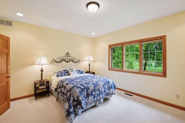 8820 Pointe Vista Dr, Victoria, MN 55386 - photo 21