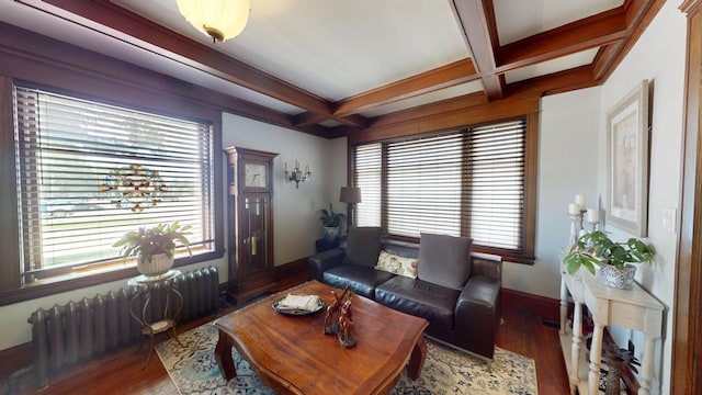315 Fountain St, Albert Lea, MN 56007 - living room featuring radiator heating unit, healthy amount of natural light, beam ceiling, wood finished floors, and coffered ceiling