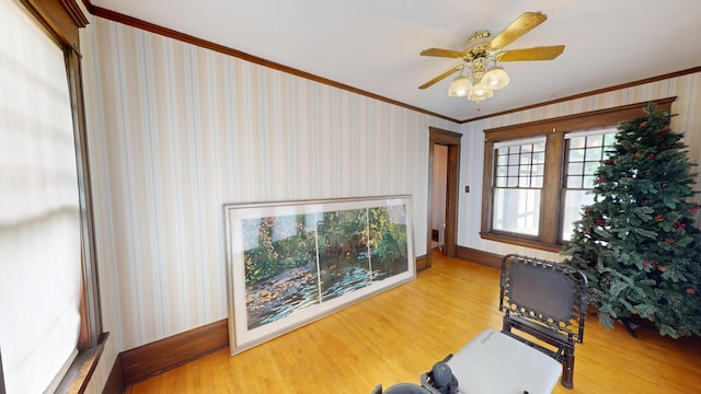 315 Fountain St, Albert Lea, MN 56007 - exercise room featuring ornamental molding, wood finished floors, a ceiling fan, and wallpapered walls