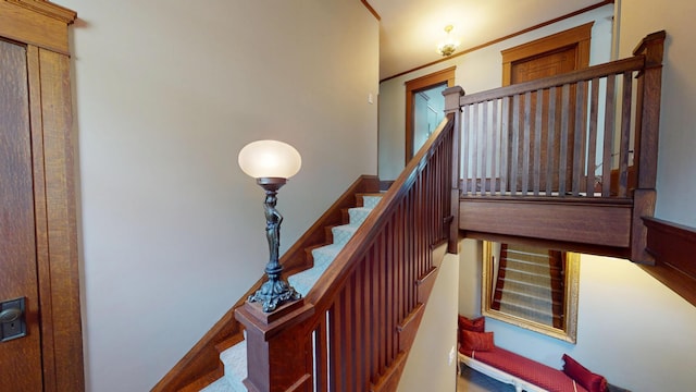 315 Fountain St, Albert Lea, MN 56007 - view of stairway