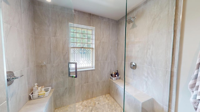 315 Fountain St, Albert Lea, MN 56007 - bathroom featuring a tile shower
