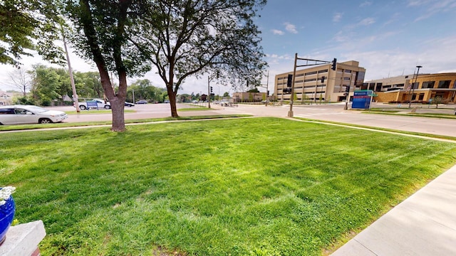 315 Fountain St, Albert Lea, MN 56007 - view of green lawn