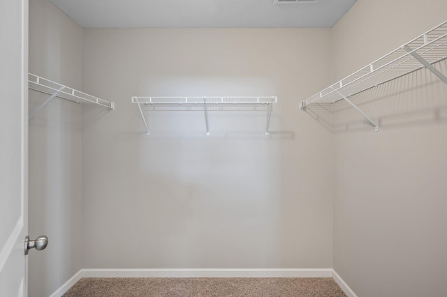 15484 Eames Way, Apple Valley, MN 55124 - walk in closet featuring carpet floors