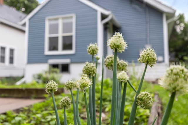 1175 Seminary Ave, Saint Paul, MN 55104 - view of home's exterior