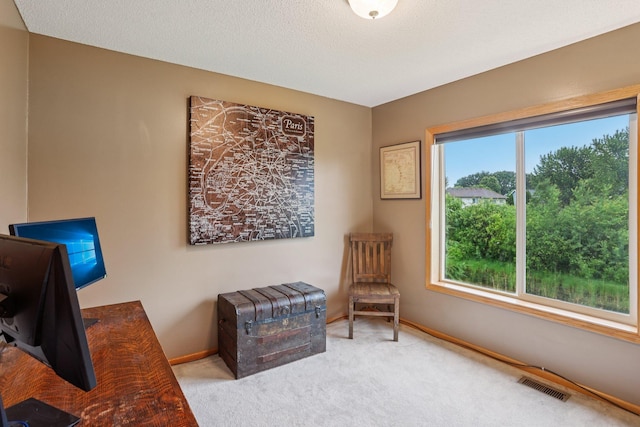 550 Woodduck Trl, Lino Lakes, MN 55014 - photo 16