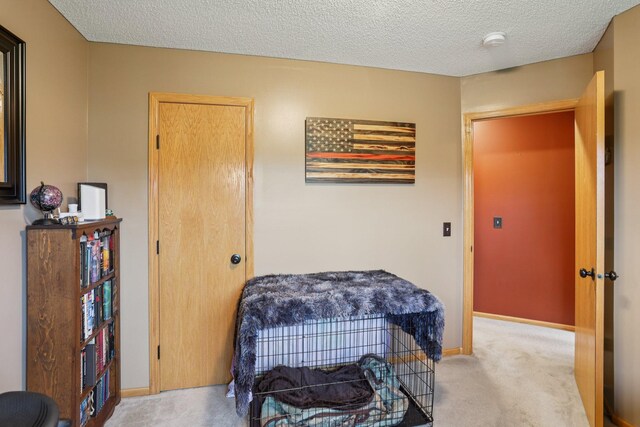 550 Woodduck Trl, Lino Lakes, MN 55014 - photo 19
