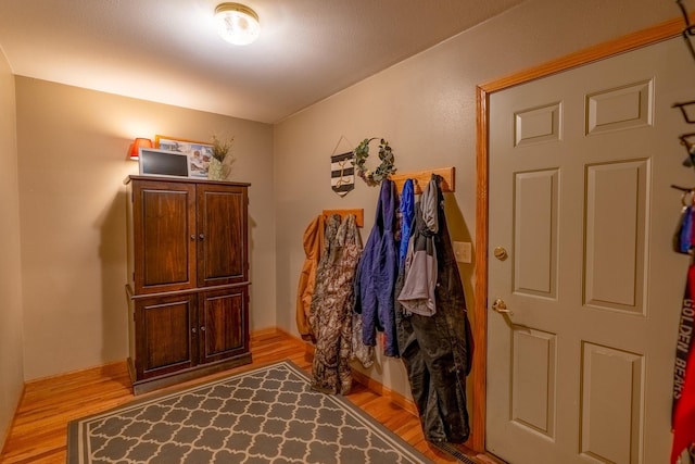704 Main St, Madelia, MN 56062 - entryway featuring wood finished floors and baseboards