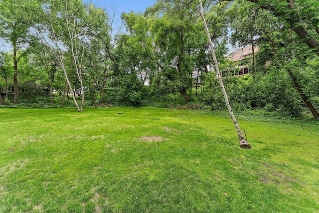 11582 Raspberry Hill Rd, Eden Prairie, MN 55344 - view of green lawn