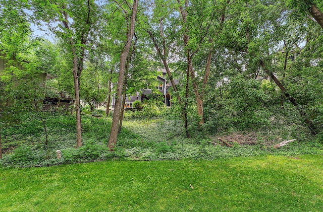11582 Raspberry Hill Rd, Eden Prairie, MN 55344 - view of grassy yard