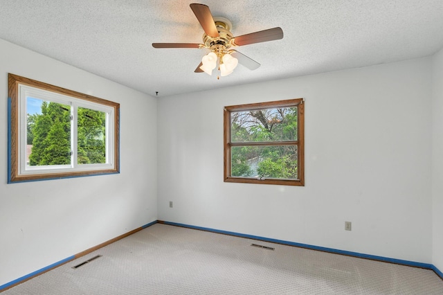 507 17 1/2 St SE, Rochester, MN 55904 - spare room with healthy amount of natural light, carpet, a ceiling fan, and a textured ceiling