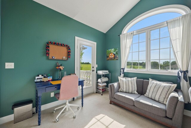 11540 Eckert Ave SE, Franklin Twp, MN 55328 - carpeted home office featuring plenty of natural light and lofted ceiling