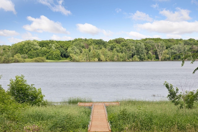 11540 Eckert Ave SE, Franklin Twp, MN 55328 - water view with a heavily wooded area and a dock