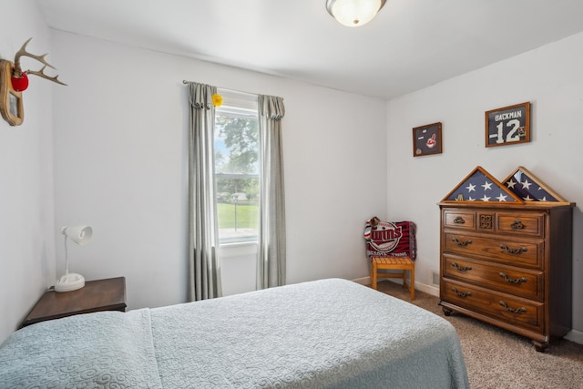 6342 Baker Ave NE, Fridley, MN 55432 - view of carpeted bedroom